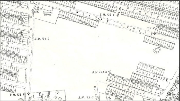 Goodison 1891